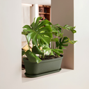 MACETA/MATERA PLAS OVAL RAFIA 60 CM C/BASE VD MUSGO RIMAX 12993-XP