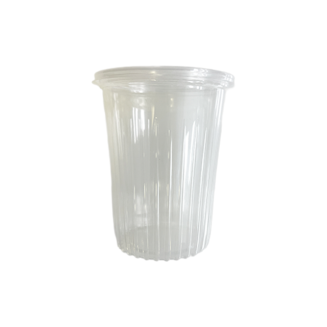 ENVASE 32 OZ  C/T 32RPP/ APP8