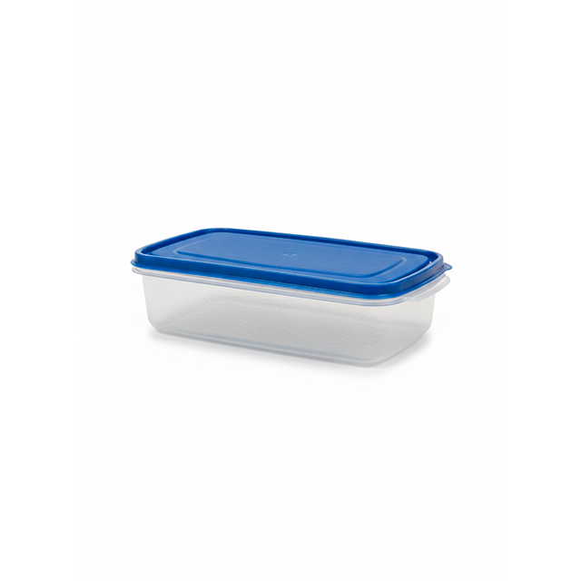 HERMETICO PLAS RECT PEQ ARANDANO TACOPLAST 30598
