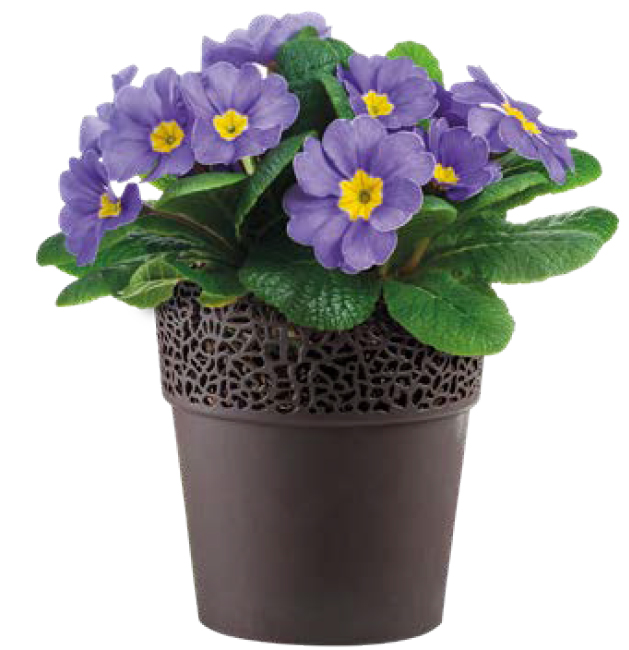 MACETA PLAS DECOR LUA #15 REYPLAST OGX742600