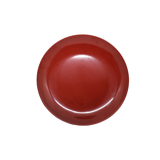[15014103] PLATO MELA 10" BICOLOR CK20110 QI