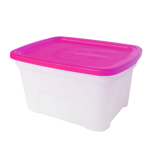 [24663] CAJA PLAS 30 LT TR SPARTA 0215