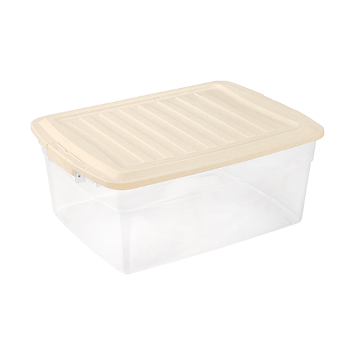 [15010284] CAJA PLAS RECTANGULAR #30 C/T BROCHE REYPLAST CJX060000