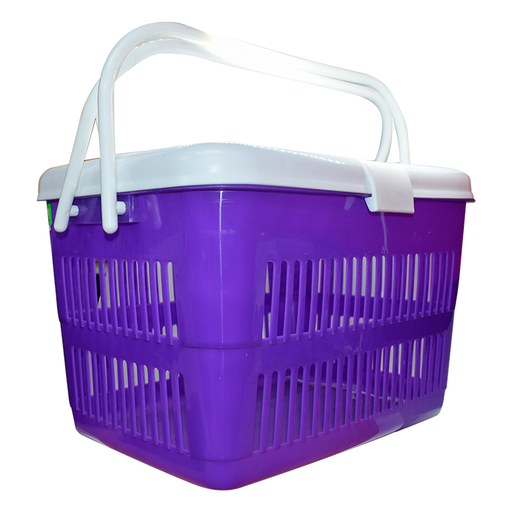 [3861] CANASTA PLAS PIC NIC  CALADA VIRGEN NEO 1CAPN