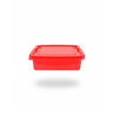 SANDWICHERA PAN PLA TR CPA C/T FLUOR ZPLAS